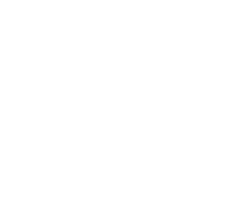 dance-usa-badge dance usa badge